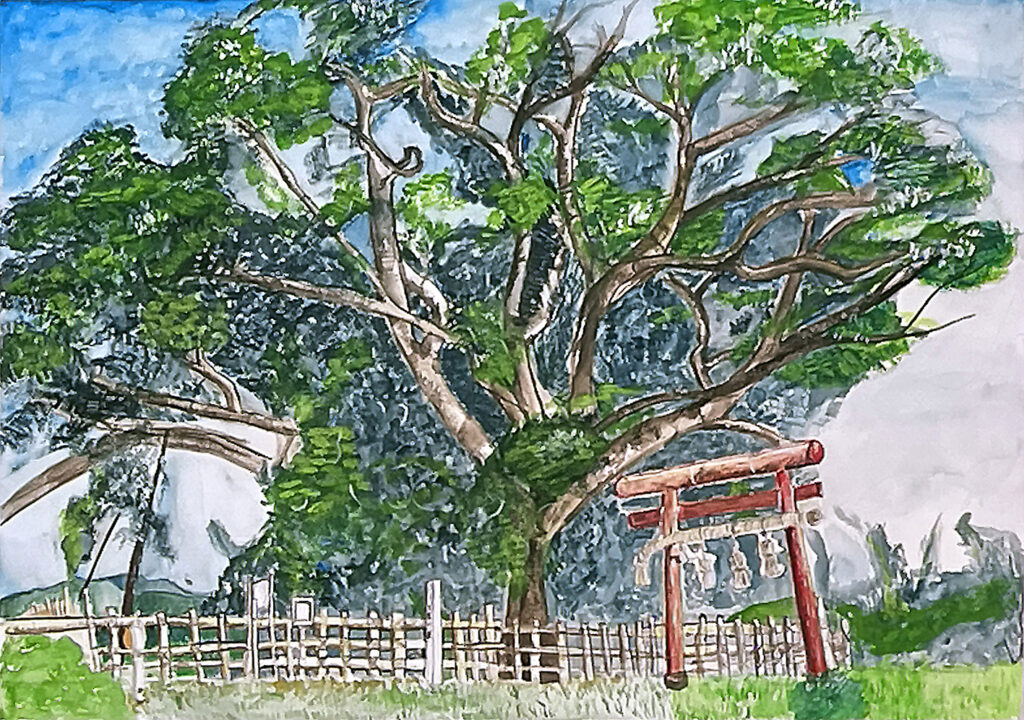 「万葉の藤」第四中学校　２年　山口　音瑠