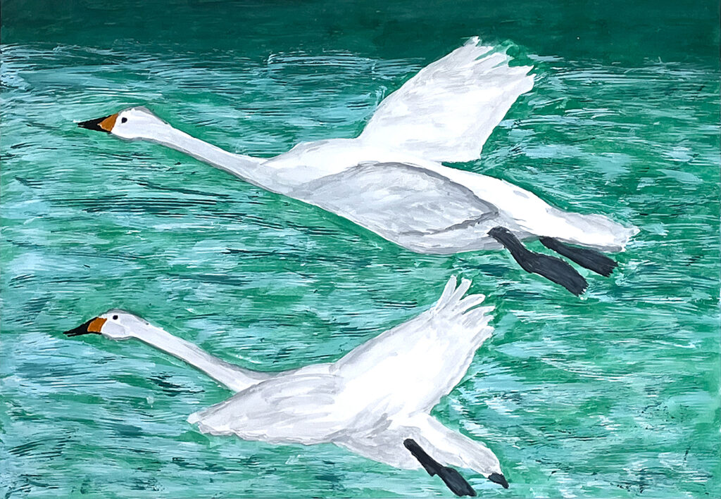 銅賞「下田に飛来した白鳥」嵐南小　5年　相場　美知香